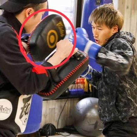 Fairtex キックミット