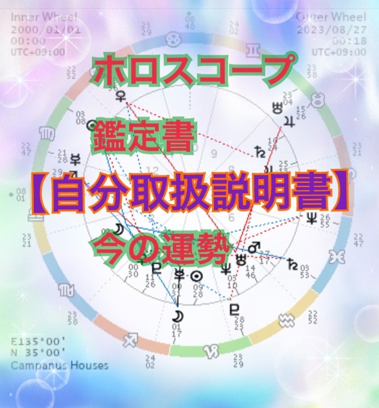ホロスコープ鑑定 自分取扱説明書【出生図】 - メルカリ