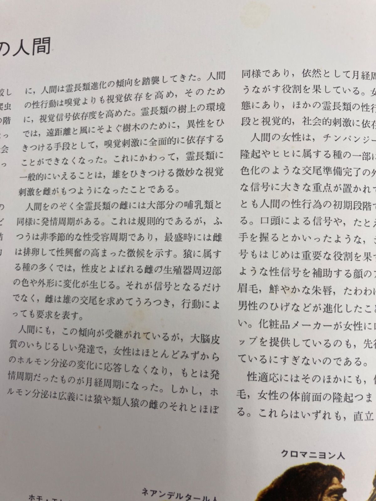 万有百科大事典1〜21 日本大地図 世界大地図 人体大事典 N 万有百科大事典1〜21 日本大地図 世界大地図 人体大事典