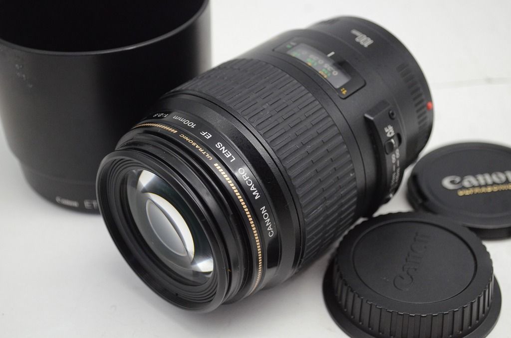 Canon キヤノン EF 100 mm F 2 8 MACRO USM フルサイズ 単焦点レンズ フード付 251008 p