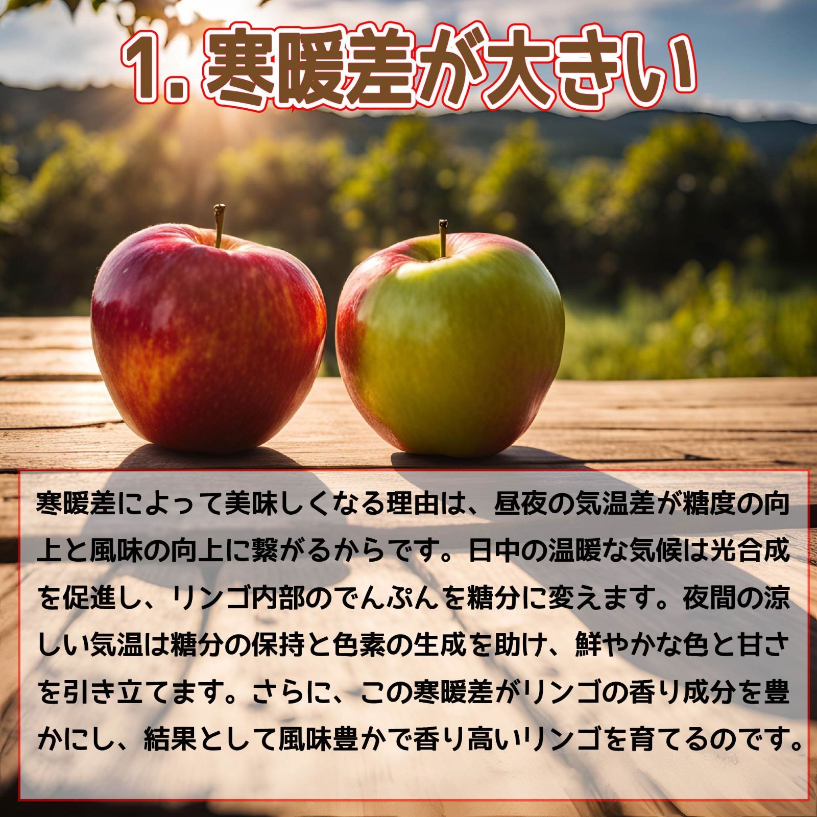 クール冷蔵便！　青森県産　りんご　訳あり　スマートフレッシュ！　10kgセット　王林5kg12-25玉程度 ・有袋ふじ5kg12-25玉程度