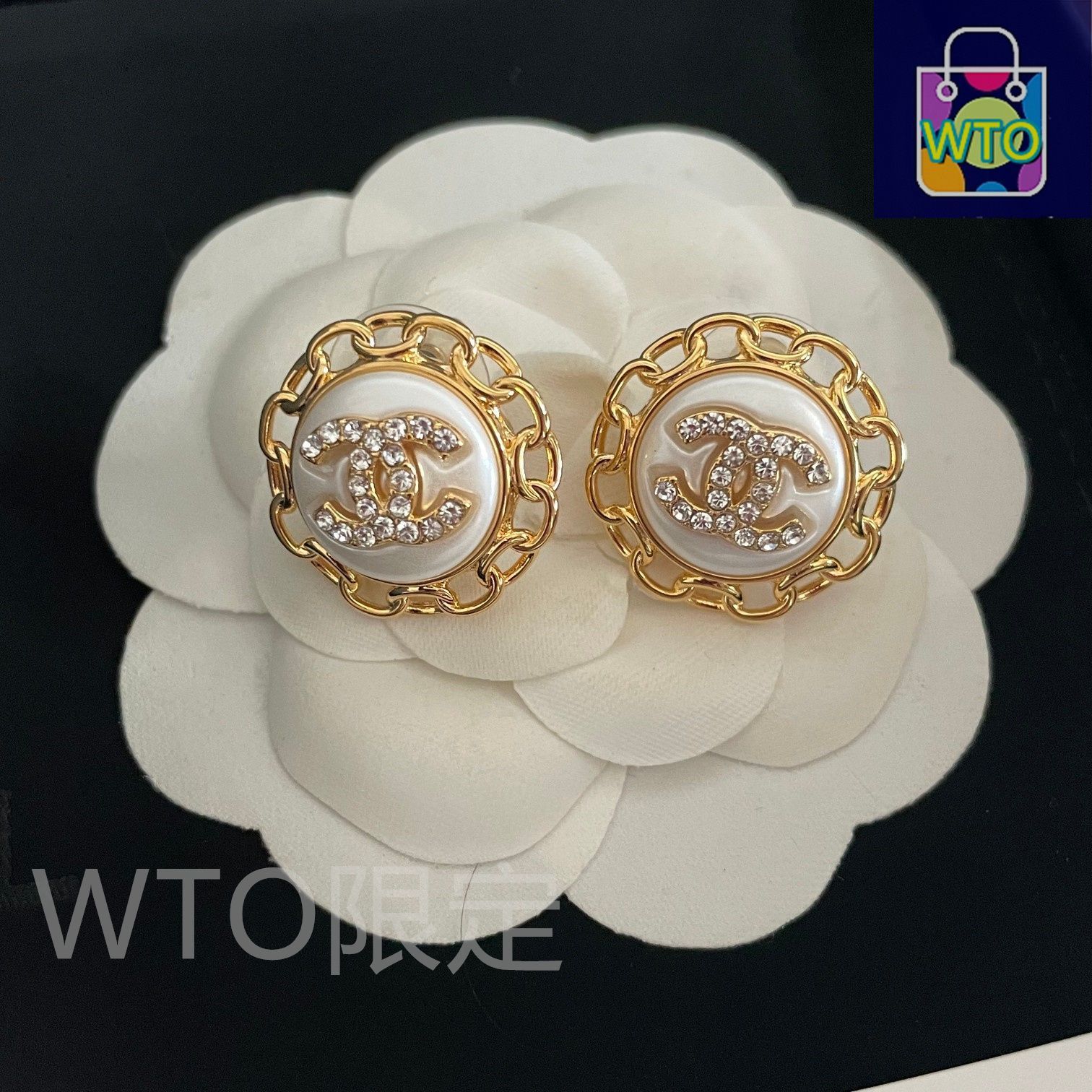 CHANEL シルバー ロゴ ピアス ビンテージ 未使用 保管期間有り 箱付き❗️ CHANEL シルバー ロゴ ピアス ビンテージ 未使用 保管期間有り