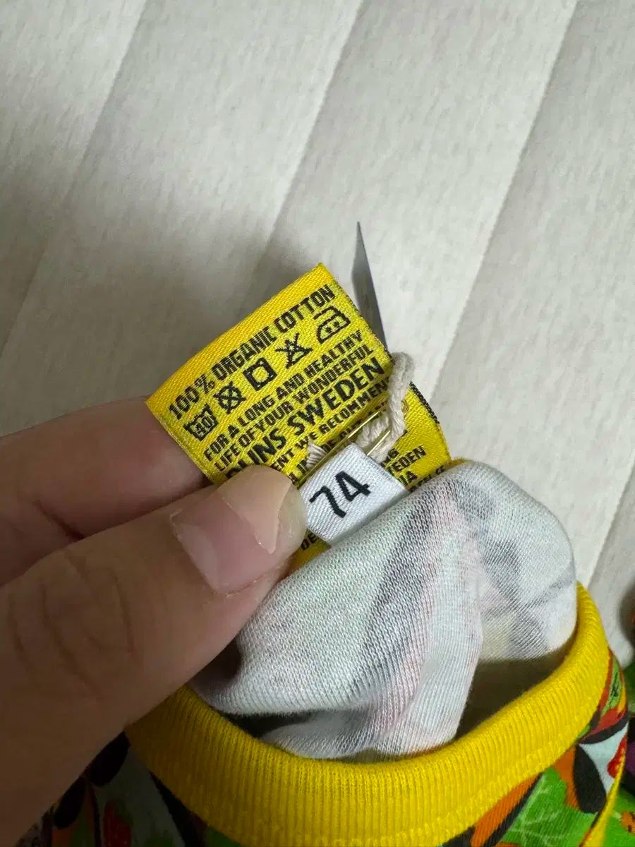 今シーズン 劣等生