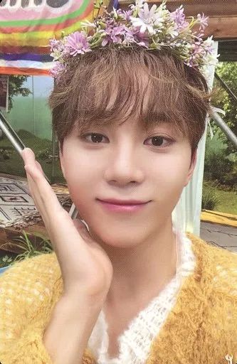 中古】コレクションカード(男性) SEVENTEEN/SEUNGKWAN(スングァン)/CD