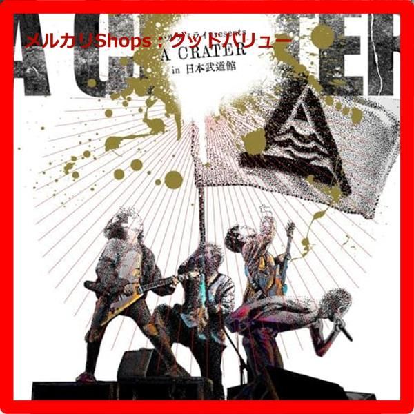 ハルカミライ　武道館　DVD 2023.2.1 日本武道館初単独公演 ハルカミライ 「ヨーロー劇場
