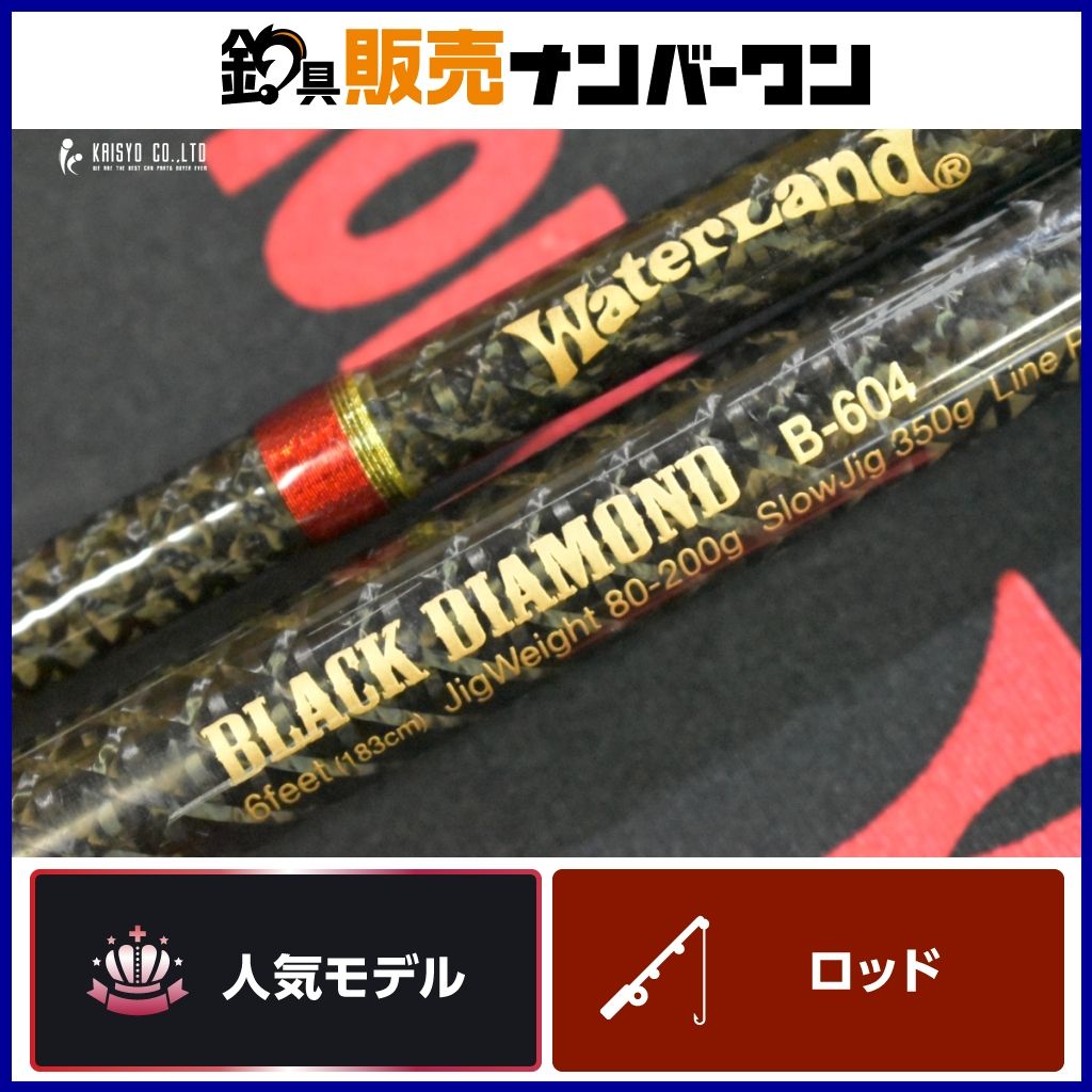 ウォーターランド ブラックダイアモンド B604 ベイト 2ピース WaterLand BLACK DIAMOND ジギングロッド 青物 ヒラマサ ブリ