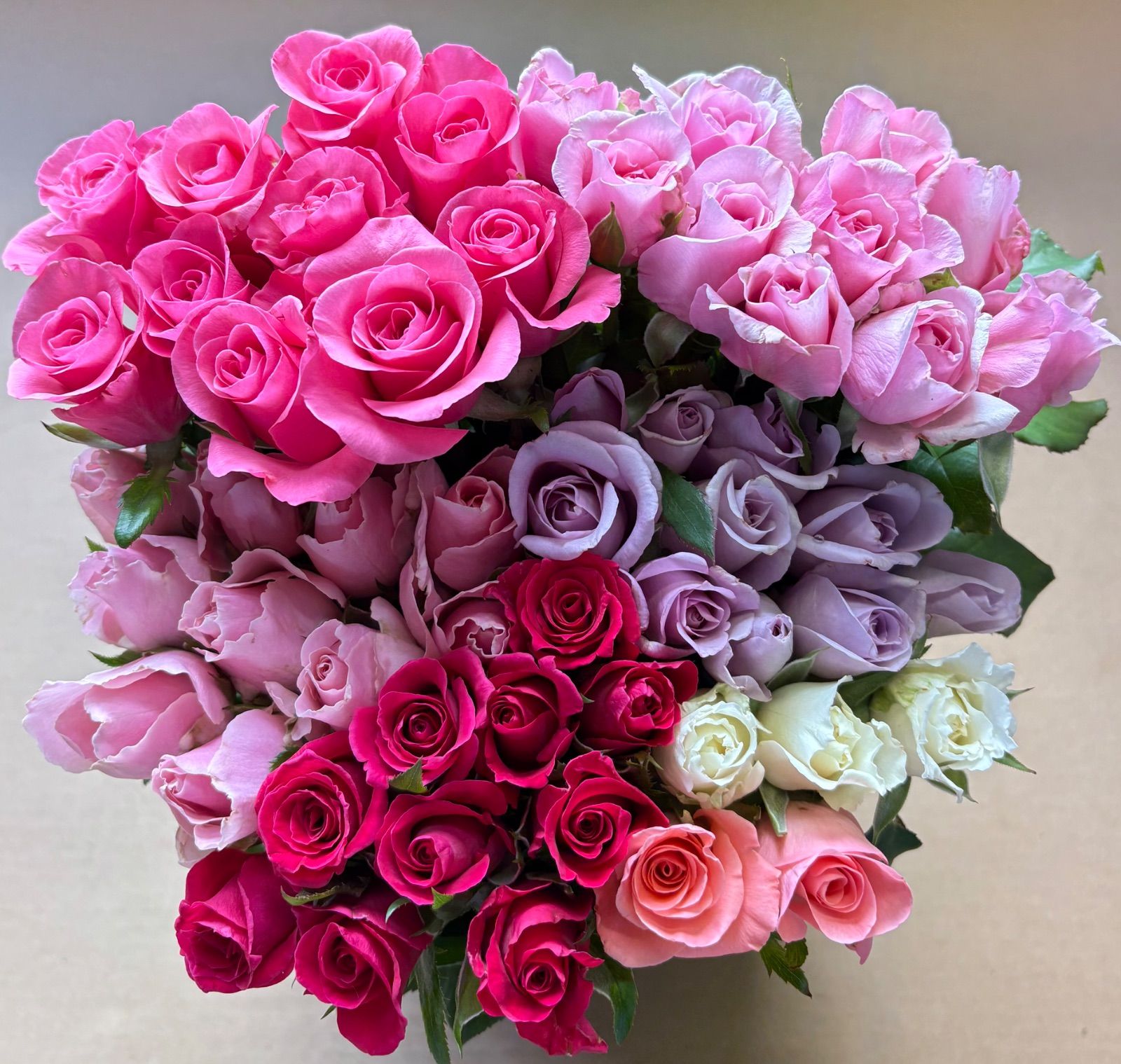 薔薇生花 クール便 るっち様専用