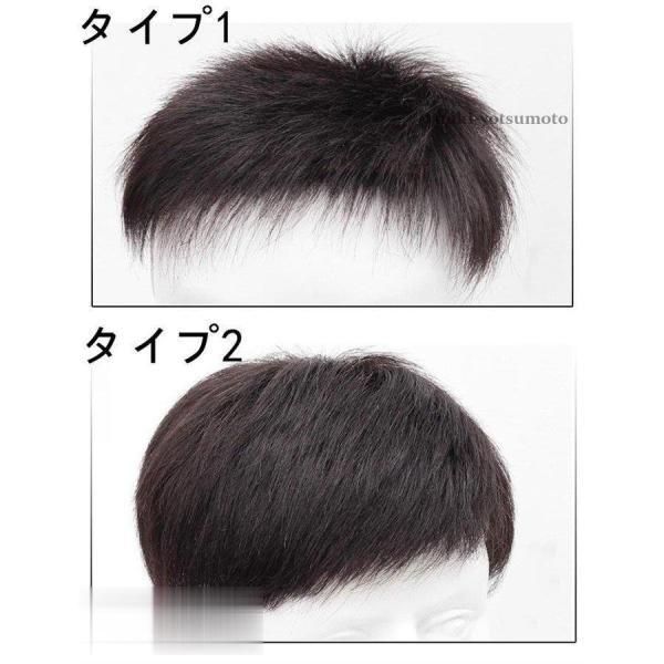 かつら 人毛ウィッグ