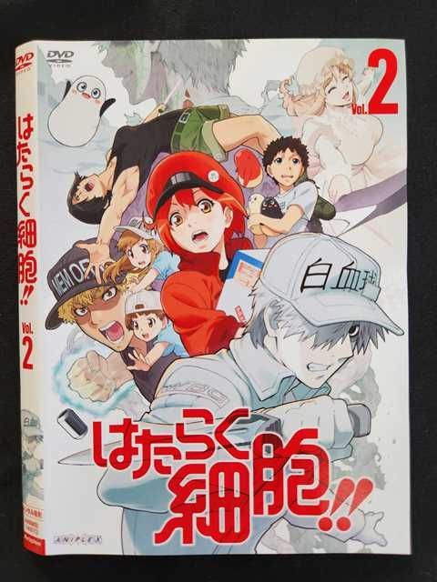 Z000033 レンタルUPDVD はたらく細胞!!（2期） 2（2話、3話