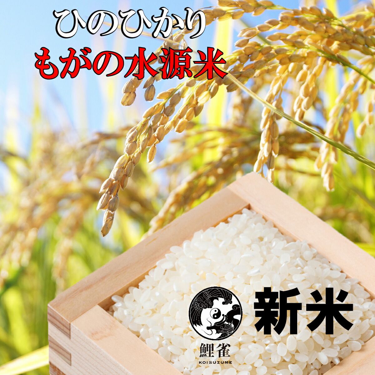 新米 予約 令和7年 玄米 熊本産 ひのひかり 玄米 10ｋｇ 10月発送予定 玄米10ｋｇ 人吉市 水源米 お米 10kg 10キロ 米 10キロ 10ｋｇ 白米