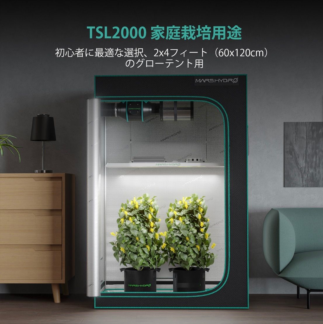 新型TSL-2000 マーズハイドロ