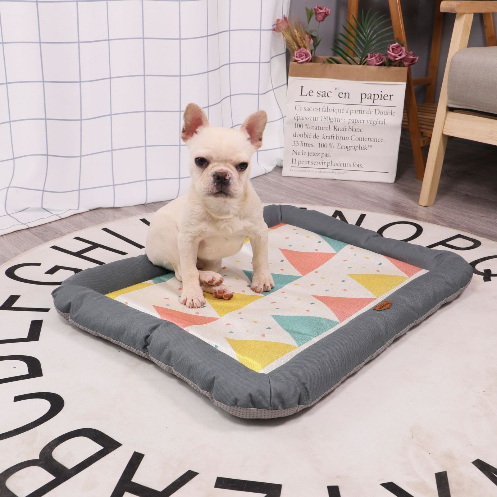 犬