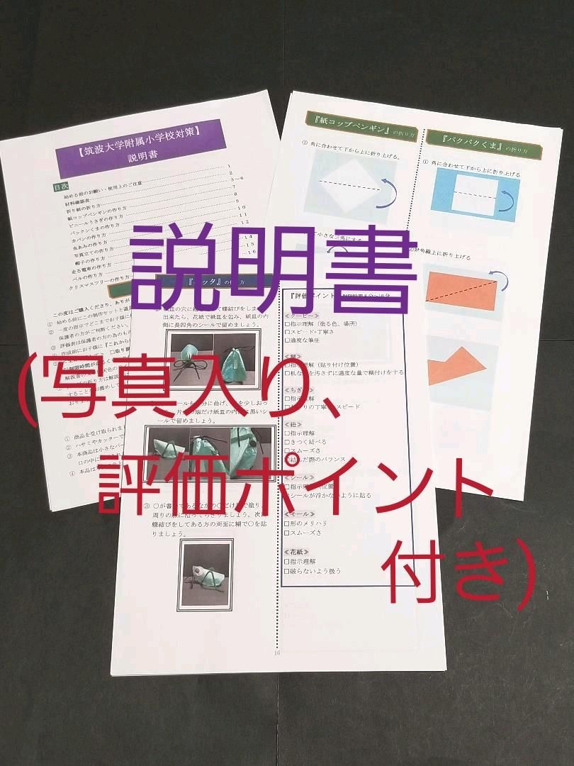 DVD付　筑波大学附属小学校　対策　制作（立体）