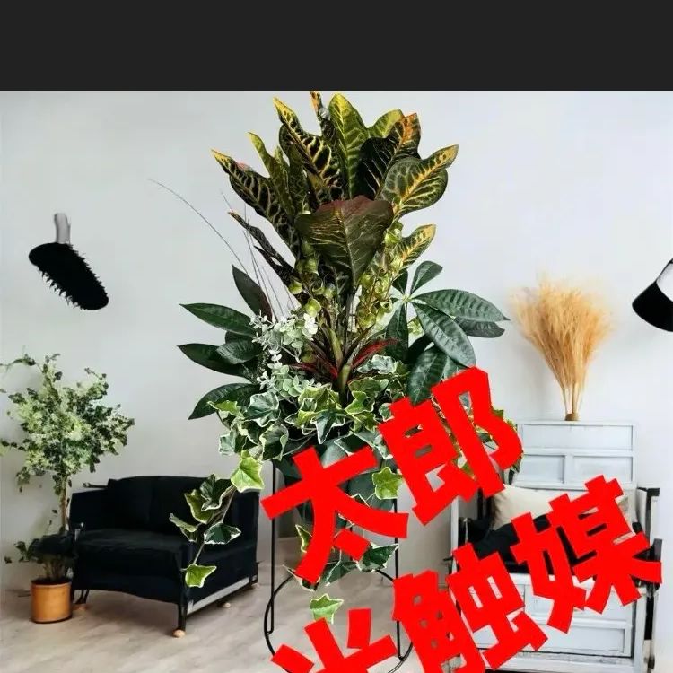 細川政己 マグカップ y鉢　カップ　鉢 ハチ 細川政己 カップ マグカップ 植木鉢 鉢 - メルカリ
