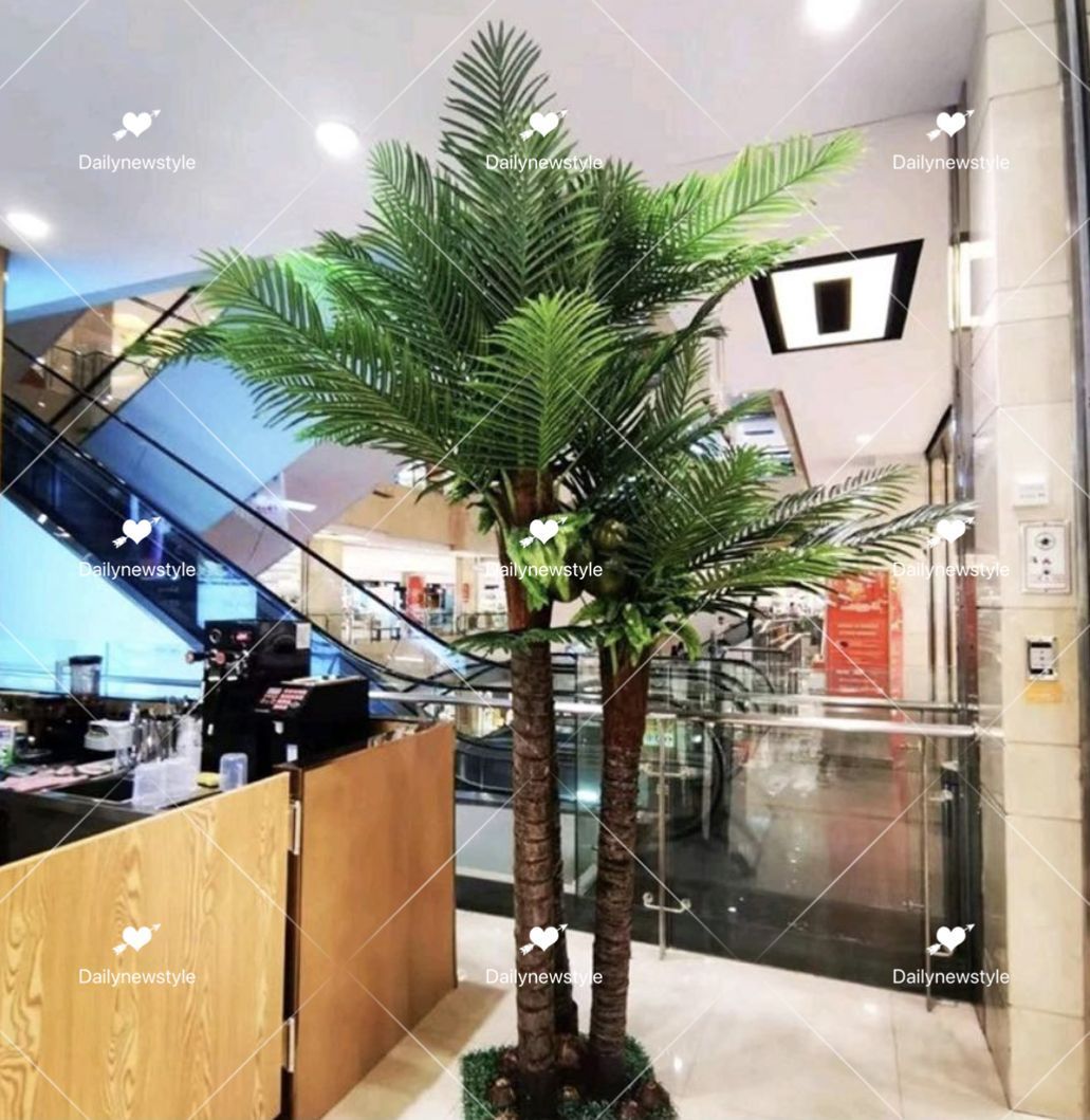 観葉植物