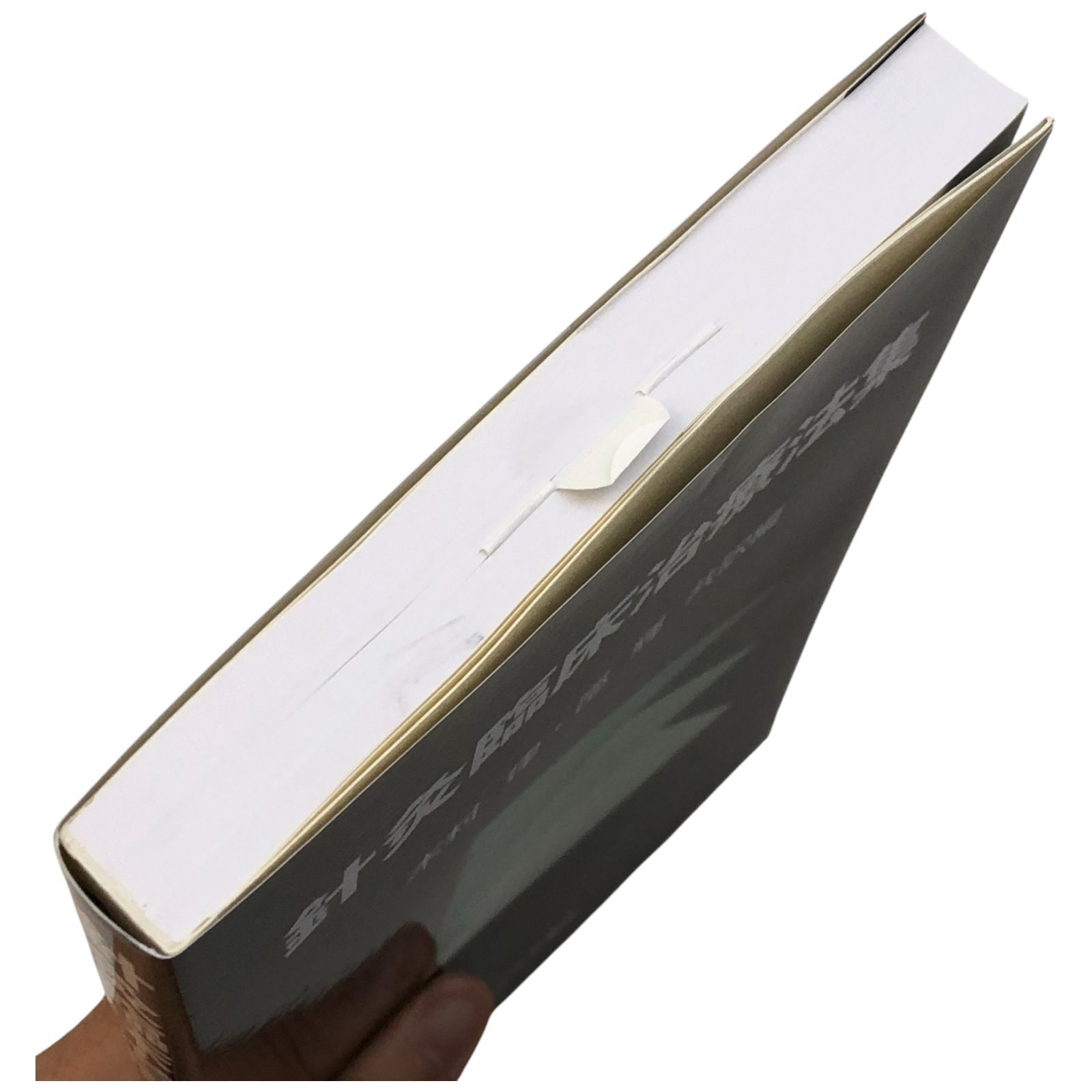 針灸臨床治療法集 木村律／邵輝 たにぐち書店 1993年4月30日 第1刷発行