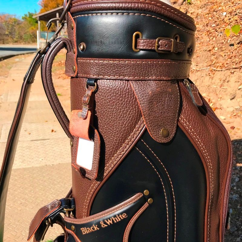 蛇革 本革 キャディバッグ ゴルフバッグ キャディバッグ】本革x帆布 WINWIN SPIRITS BAG GD Ver.[日本製