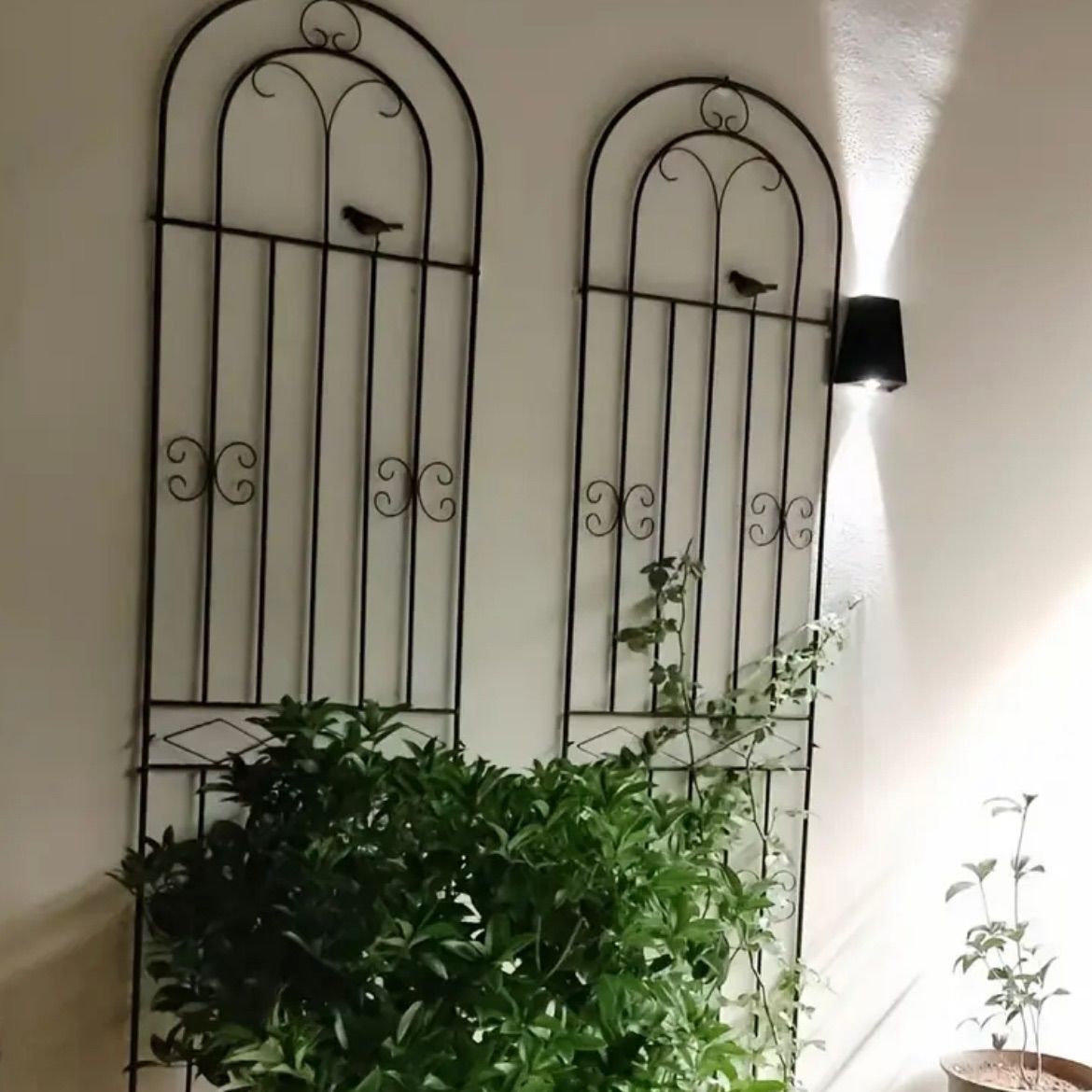 トレリス ガーデンフェンス仕様 頑丈鉄製 屋外植物サポート 錆びに強い 装飾スクロールデザイン バラ クレマチス アイビー対応 多目的設計 パティオ装飾対応 ローズアーバー シンプルデザイン お洒落アイテム デザイン シンプル シンプル