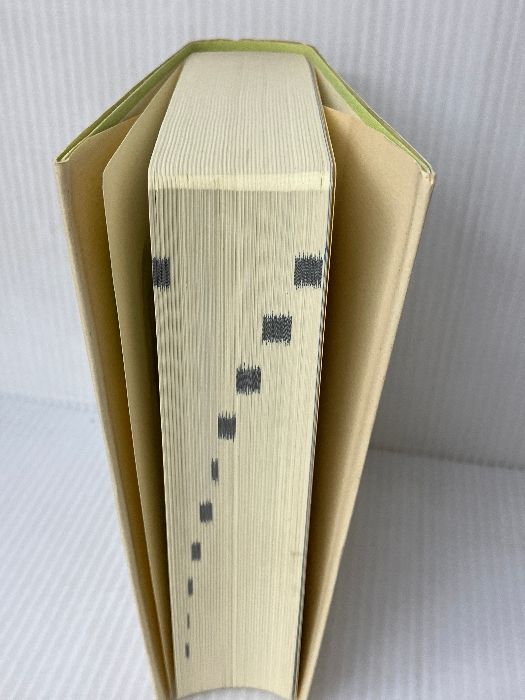 1981年