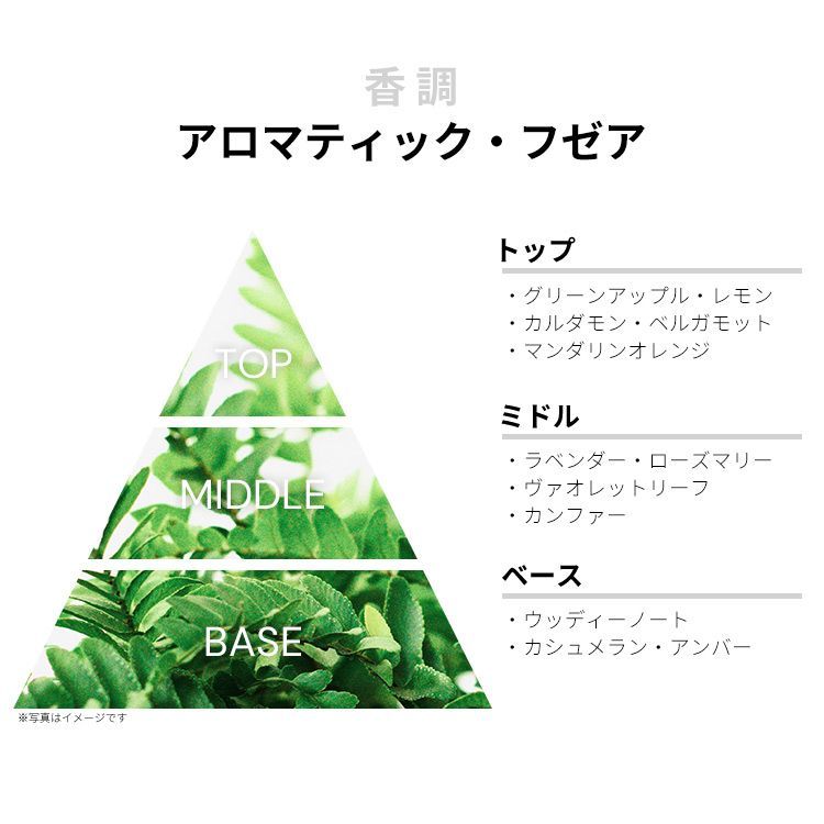 ラリック マ フォース ランスミ 100ml | オードトワレ SP 最大P9倍