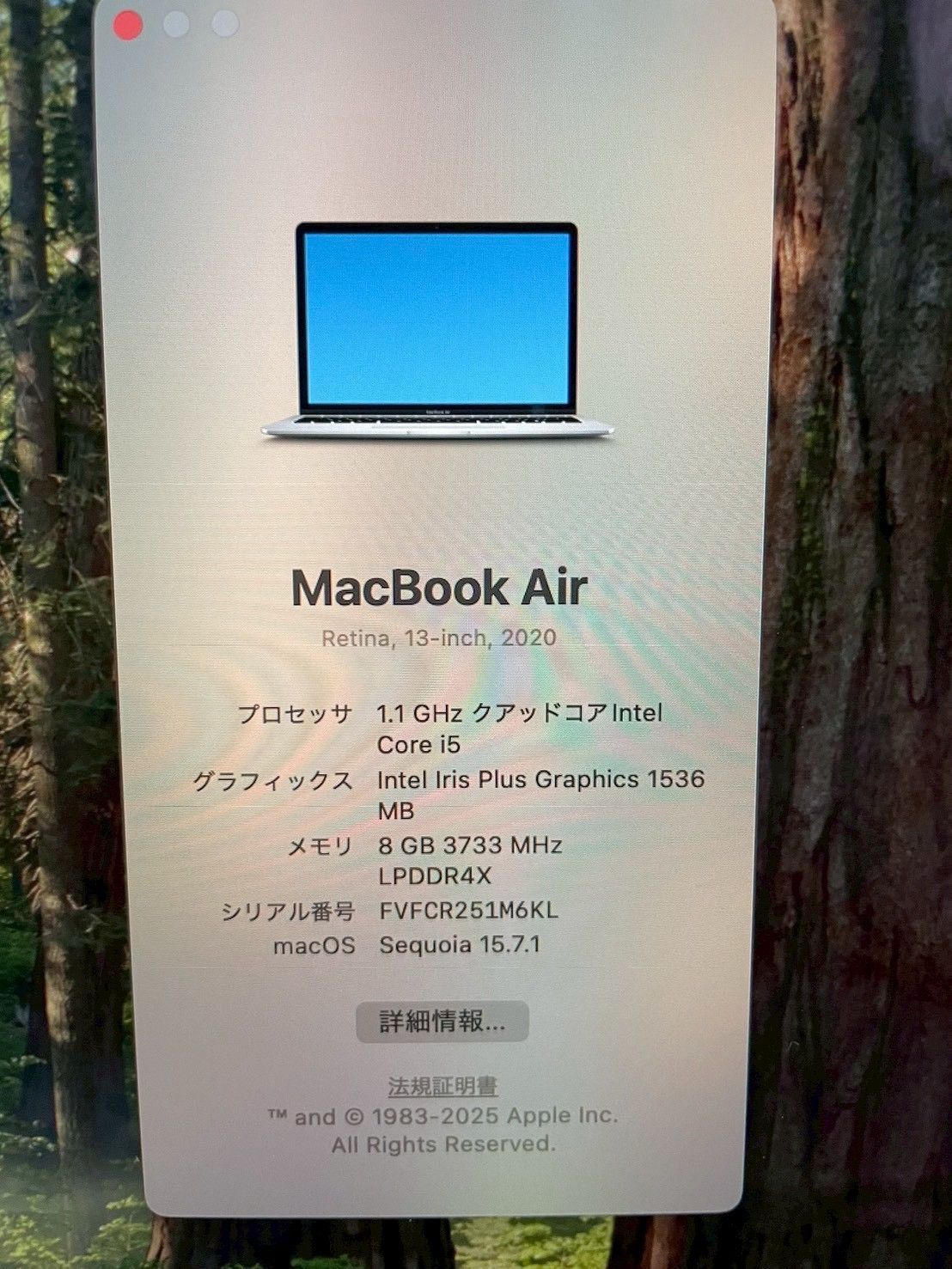 MacBook|Air|2020|i5|8GB|512GB|USキー|元