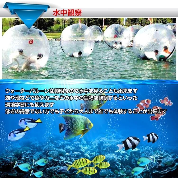 水中観察