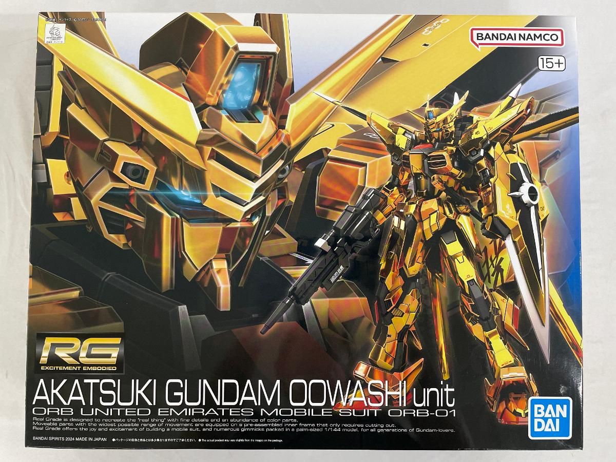 ガンプラまとめ売り【オマケ付き】 Amazon.co.jp: 2024年12月発売 RG 機動戦士ガンダムSEED DESTINY