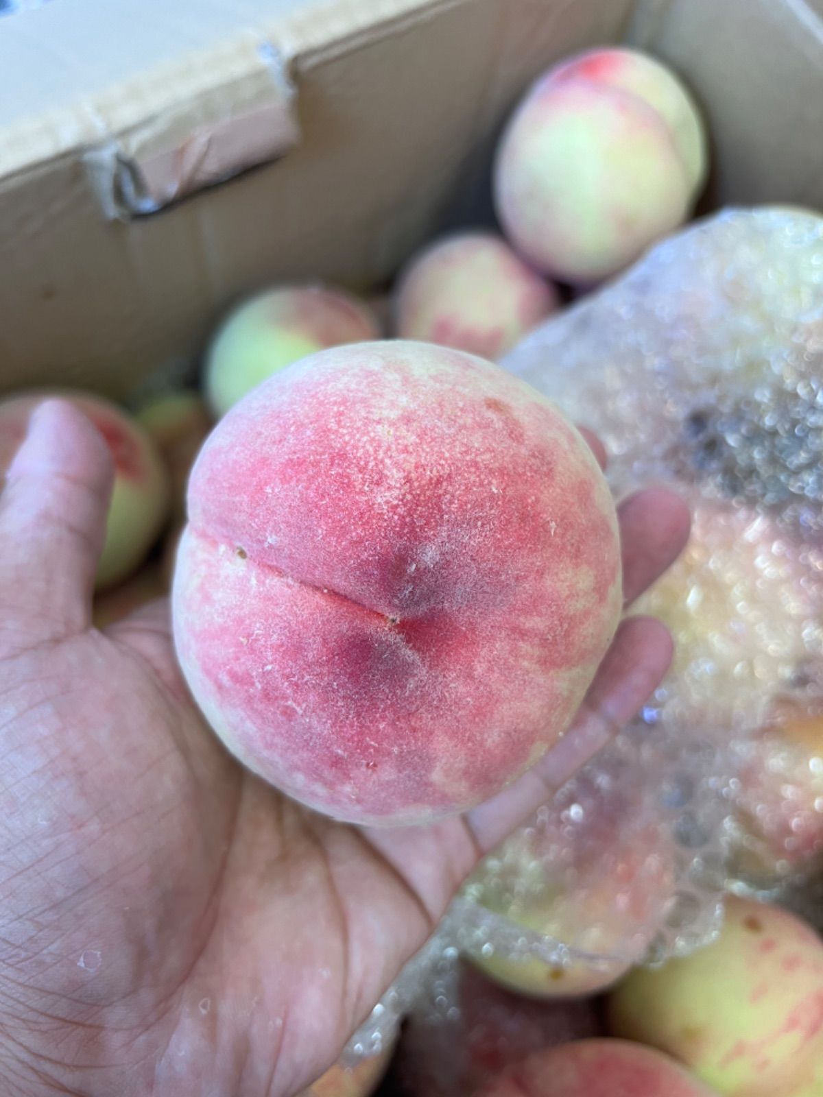 約　5kg　硬い桃　山梨県産　冷蔵便発送　đào cứng 約 5kg 硬い桃 山梨県産 冷蔵便発送 đào cứng - メルカリ