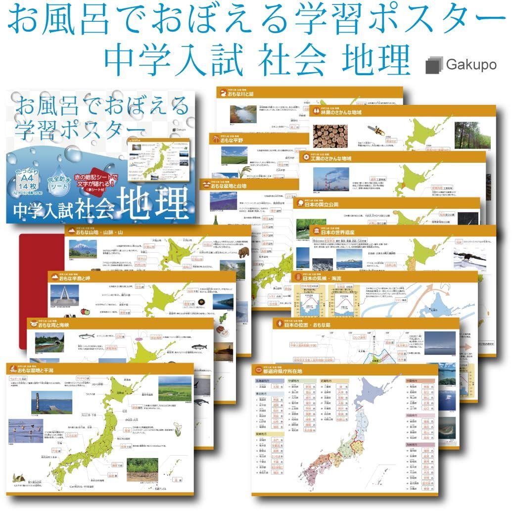 社会地理 白地図 中学受験 都道府県名 防水 社会地理（暗記