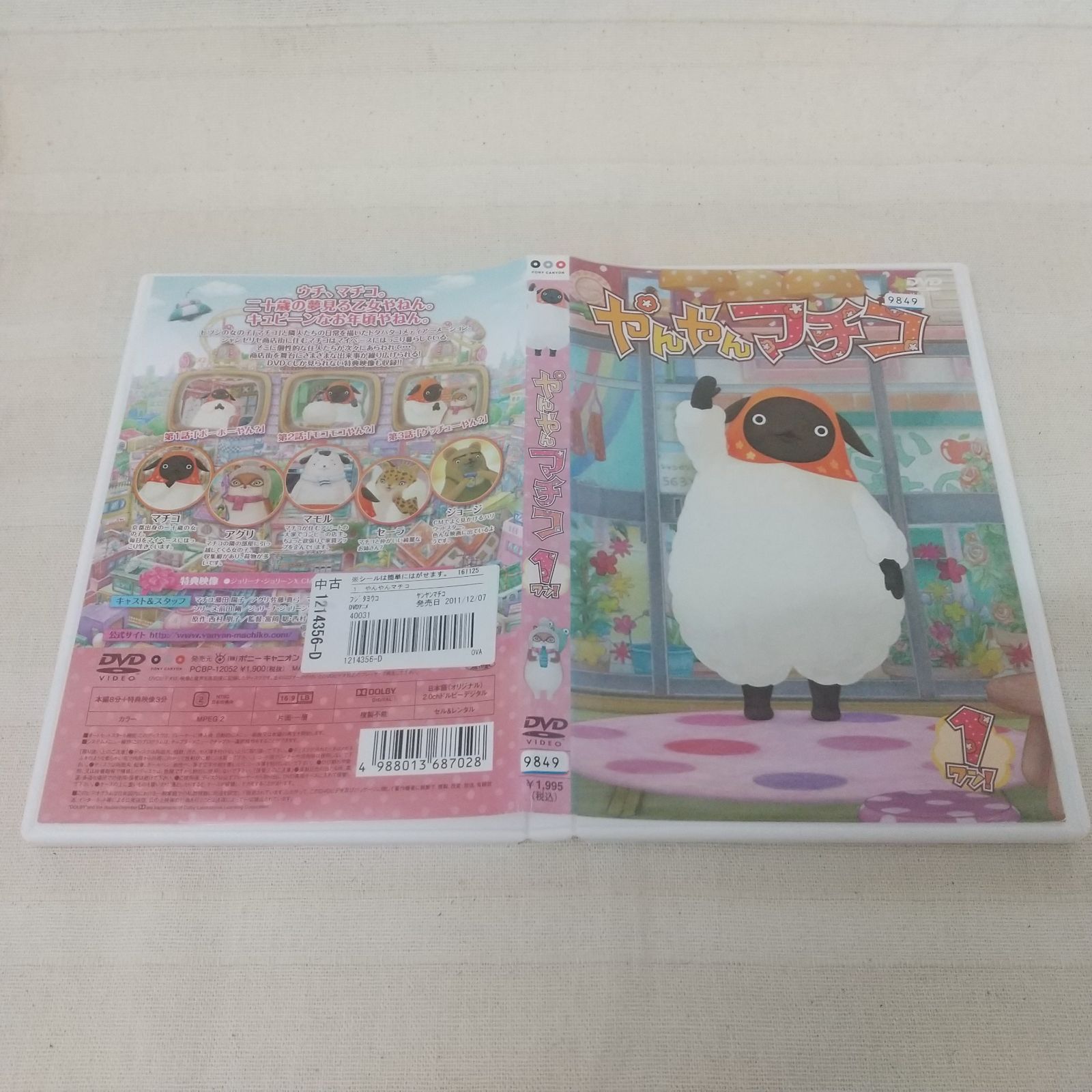 数量限定特典付き！やんやんマチコ　1：未開封DVD 712iSUzrPwL.jpg