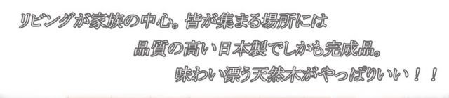 Alder 木目の美しい北欧風天然木アルダー材のカウンター下収納40ﾁｪｽﾄ