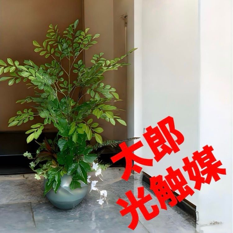 光触媒 人工観葉植物 ウォールグリーン 特大ベルベットポイン