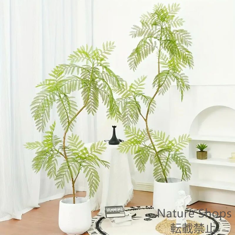 大きな植物 屋内