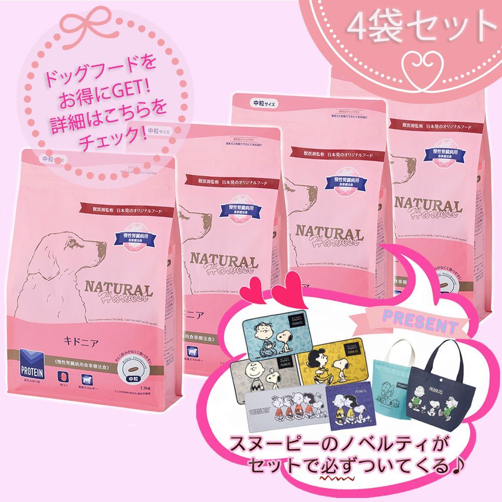 プレゼント付 キドニア 腎臓ケア用食事療法食 1.1kg×4袋セット ナチュラルハーベスト