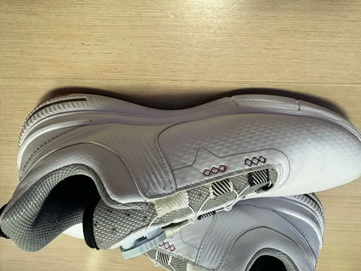 画家 ゴルフシューズ 260 サイズ x 002 ff