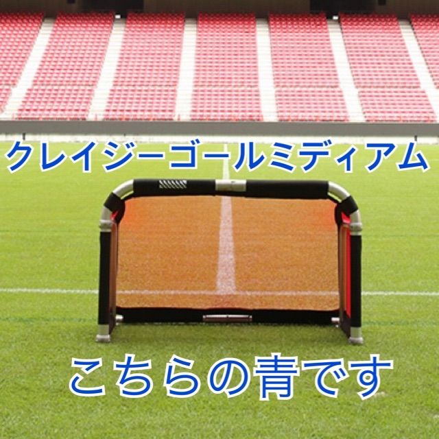 クレイジーゴール ミディアム 青 1台