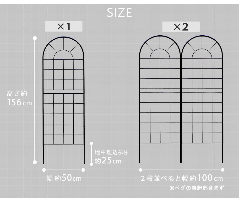 ラティス つるバラ