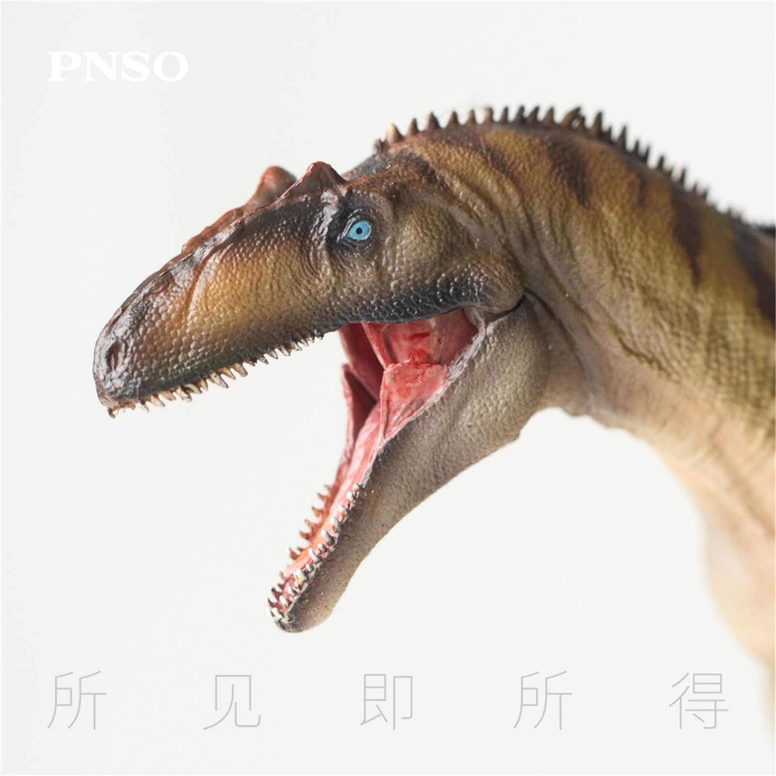 フィギュア　アロサウルス 「Dinosaurs」 PVC製塗装済完成品 Amazon.co.jp: 山二 ソフト PVC フィギュア ダイナソー