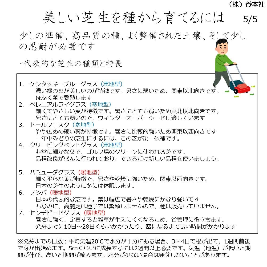 ペレニアルライグラス種子 品種名