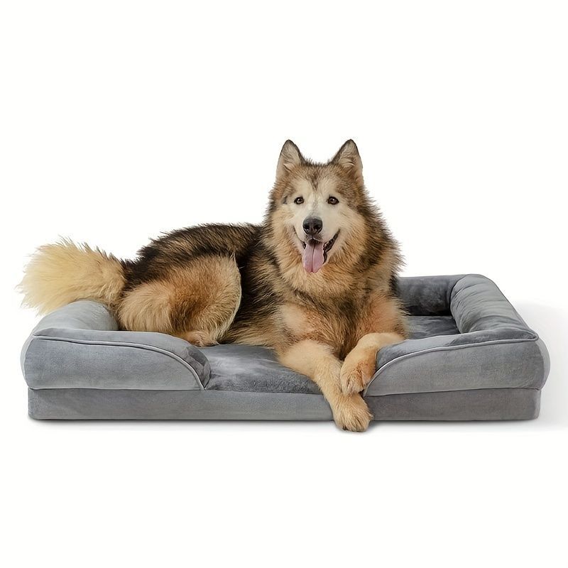 老犬介護
