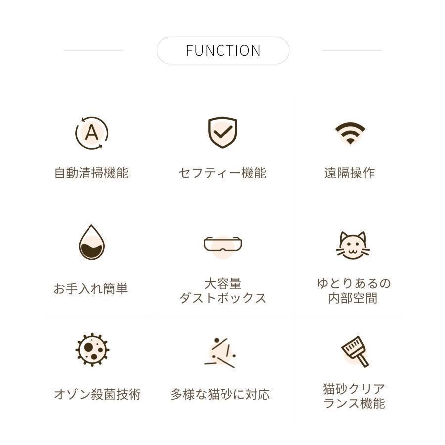 本体