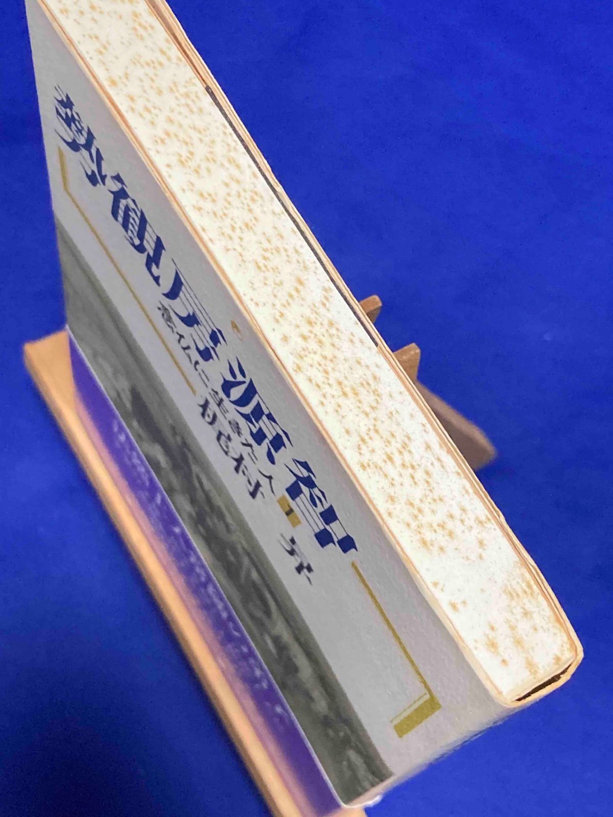 【中古】 勢観房源智 念仏に生きた人１/東方出版（大阪）/梶村昇 勢観房源智 念仏に生きた人◇梶村昇、東方、1993年/Y180 - メルカリ