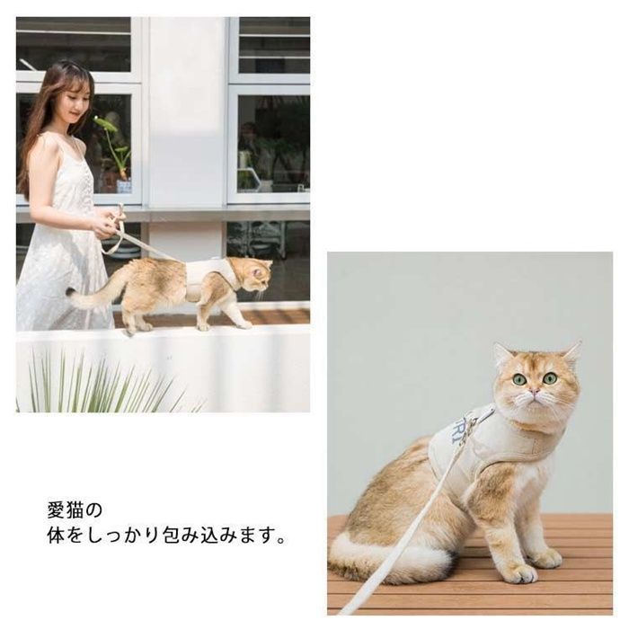 Shelbybear97jp　犬猫セット 楽天市場】犬 猫 エリザベスカラー パイナップル 首周り15〜25cm