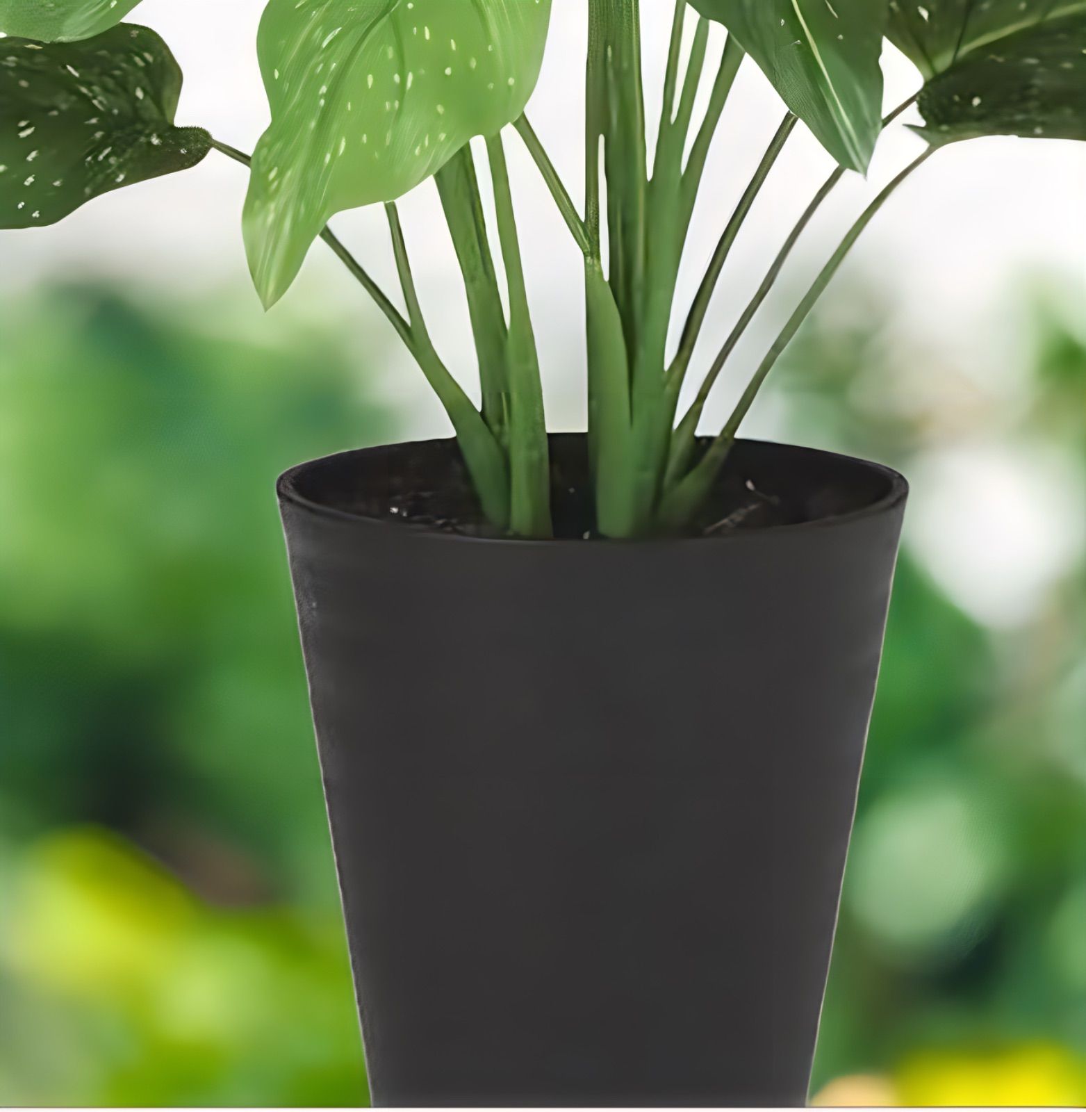 光触媒　人工観葉植物　ウォールグリーン　フェイクグリーン　東北カラー55 光触媒 人工観葉植物 ウォールグリーン フェイクグリーン 東北カラー55