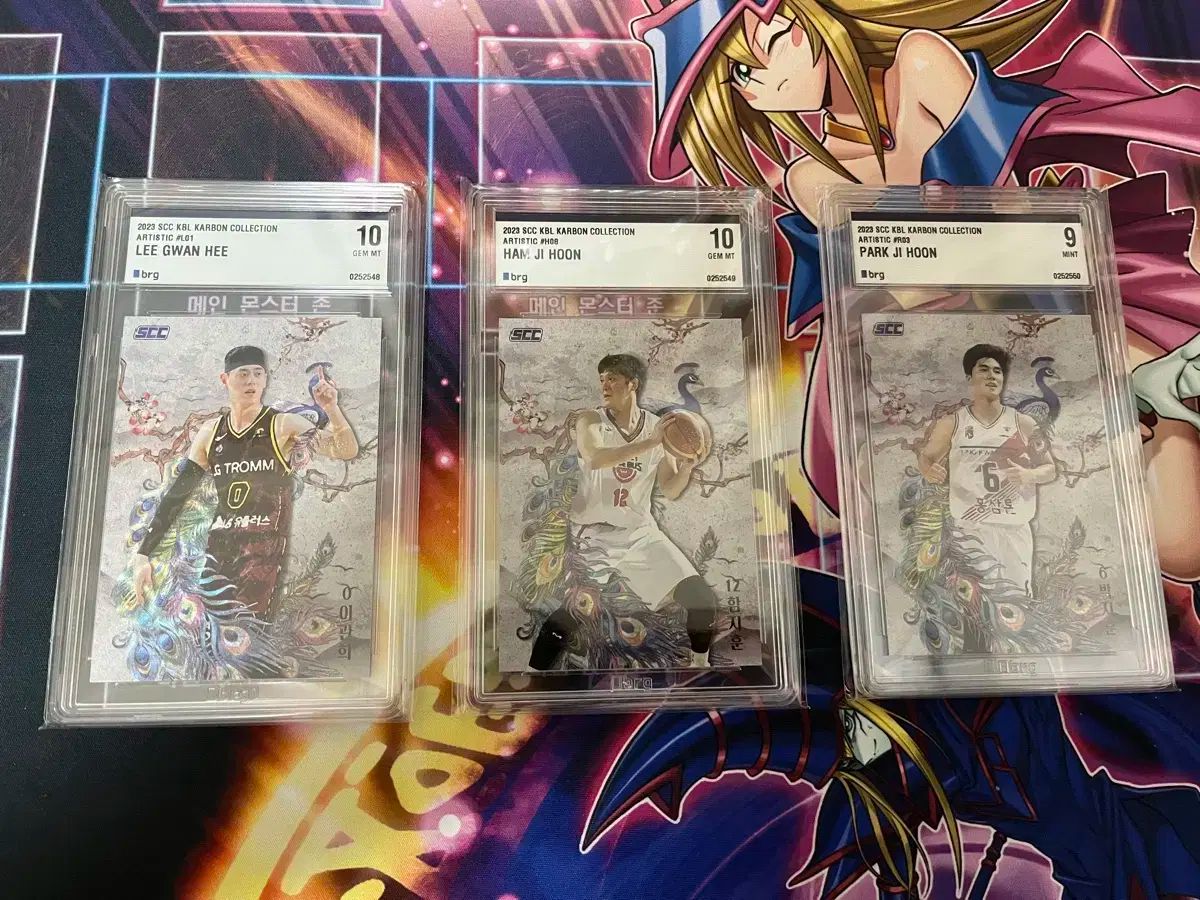 バスケットボール 2025 kbl SCC 芸術的 パク ジフン-ハム ジフン-イ グァンヒ カード