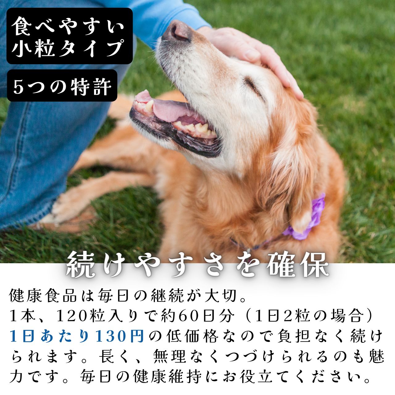 抗酸化 サプリメント