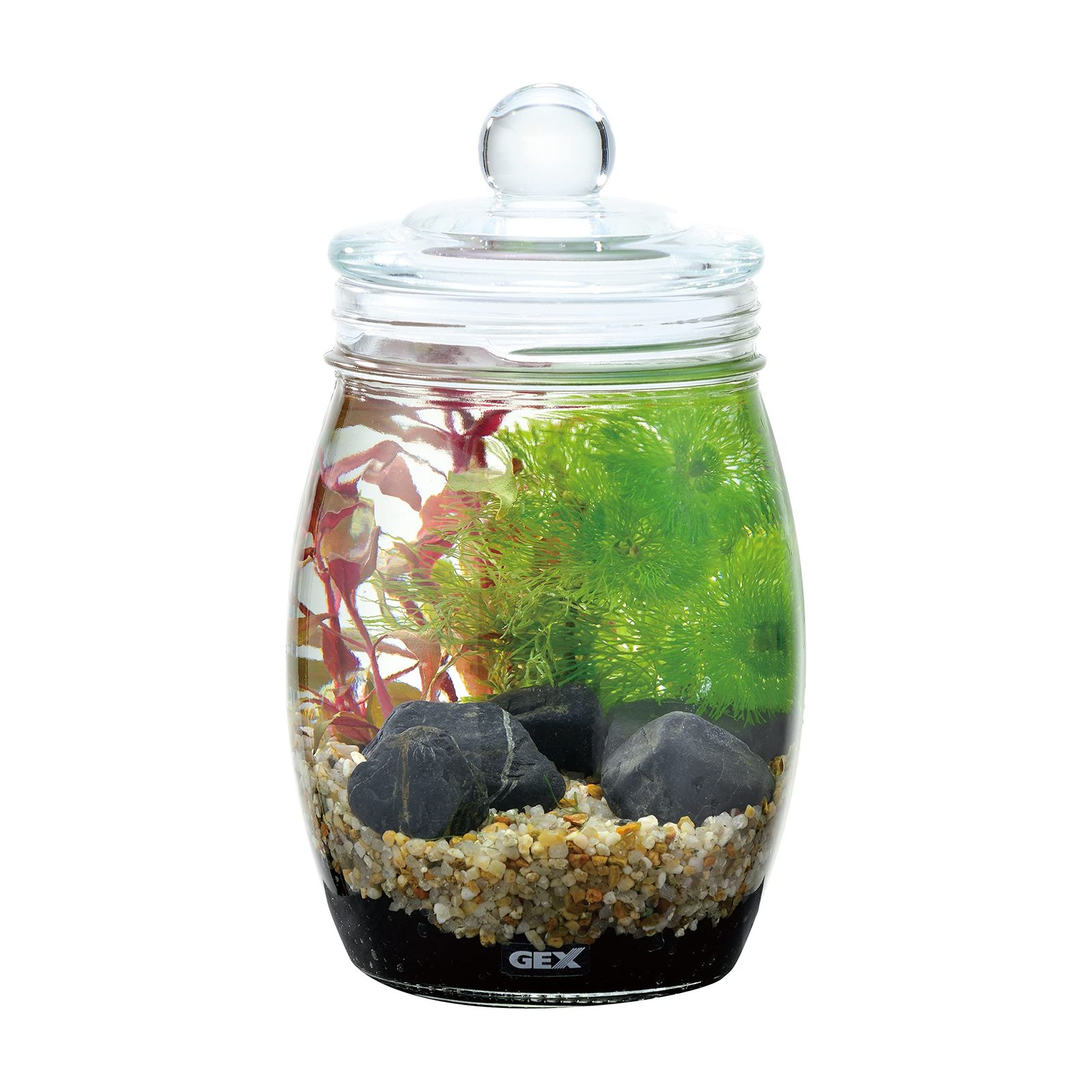 魚用品・水草 GEXジェックス ボトリウム ネイチャーセット ブラウン