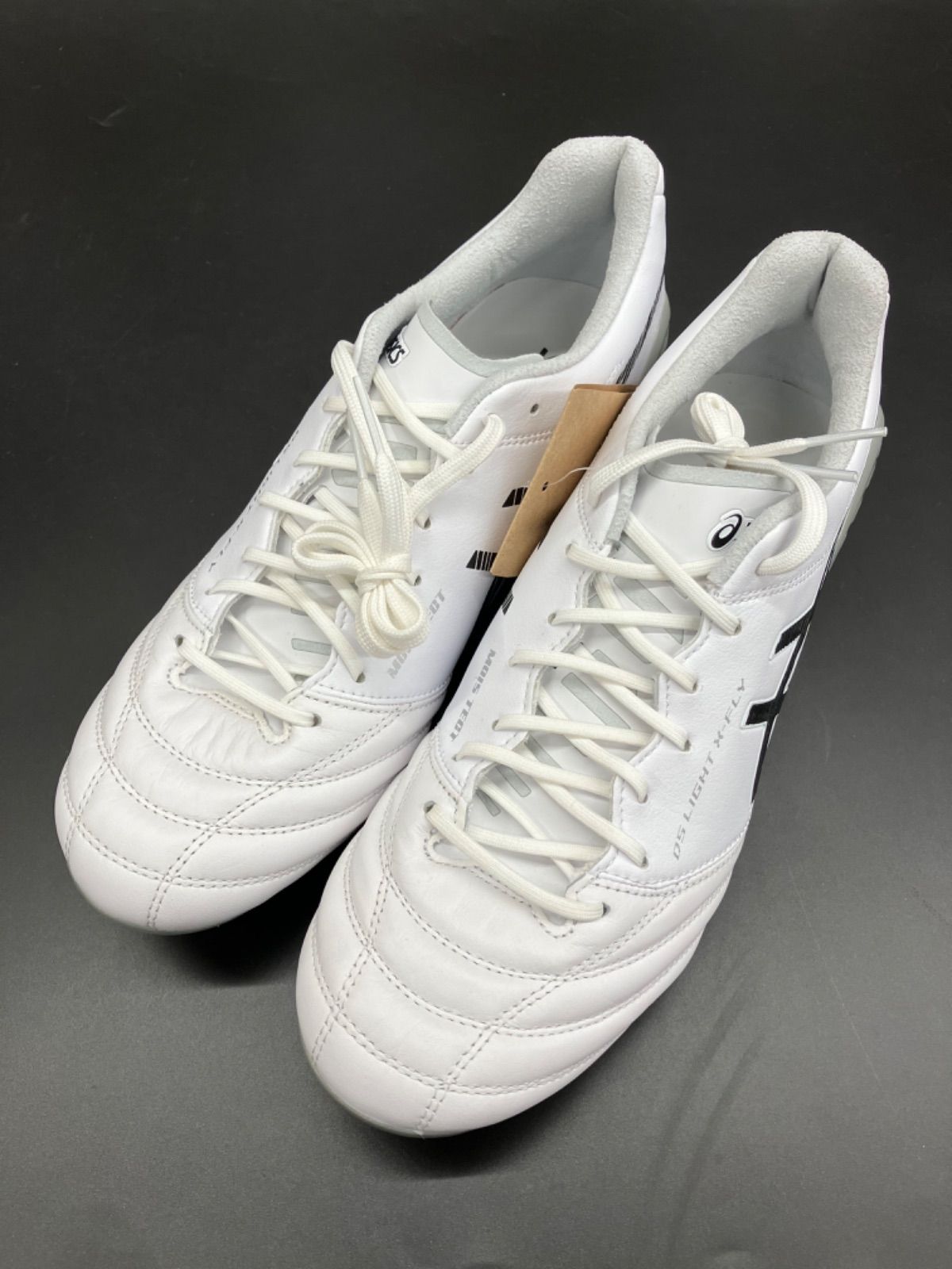 アシックス DS LIGHT X-FLY 5(1101A047-100)