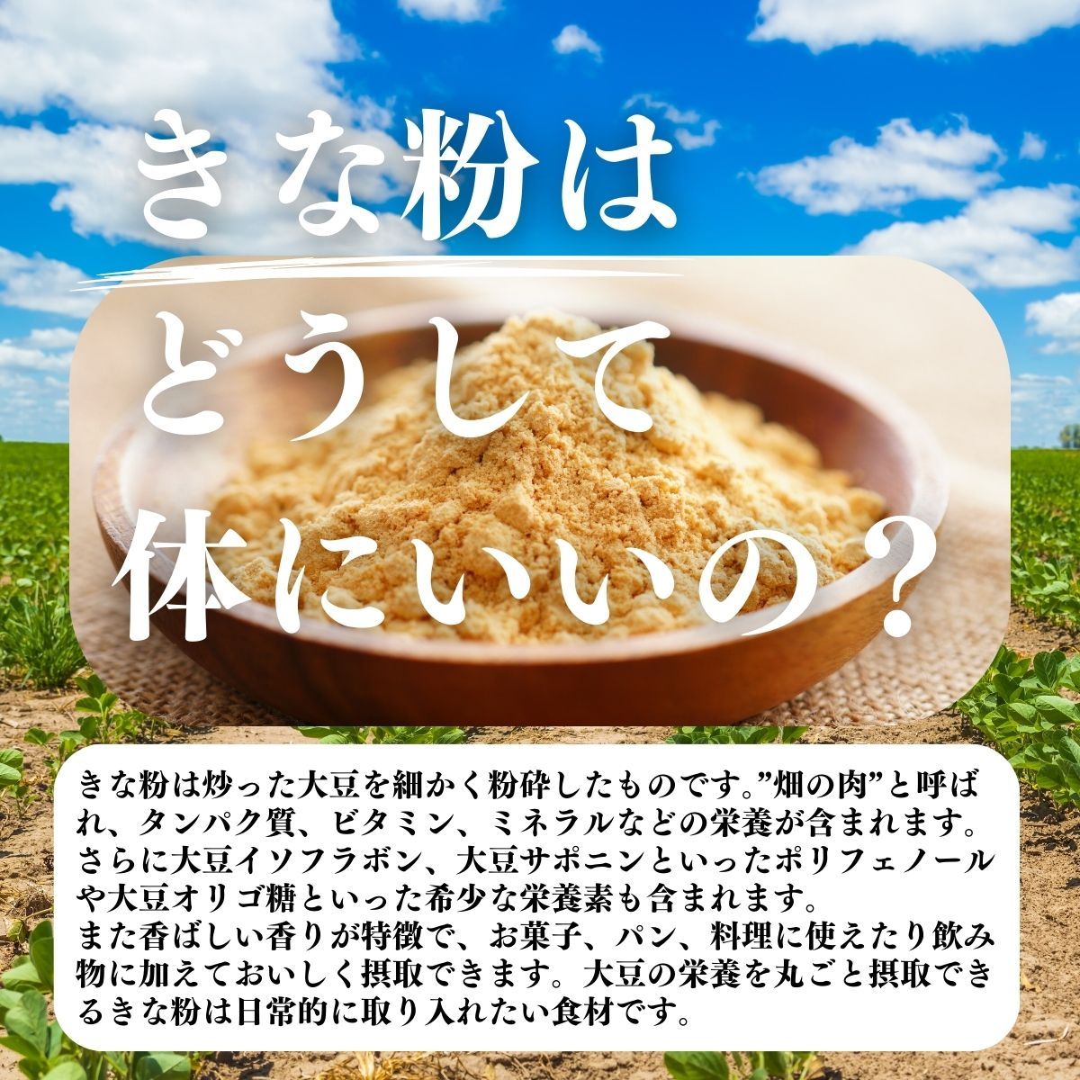自然健康社 きな粉 1kg×5個 国産 きなこ 黄な粉 キナコ 大豆