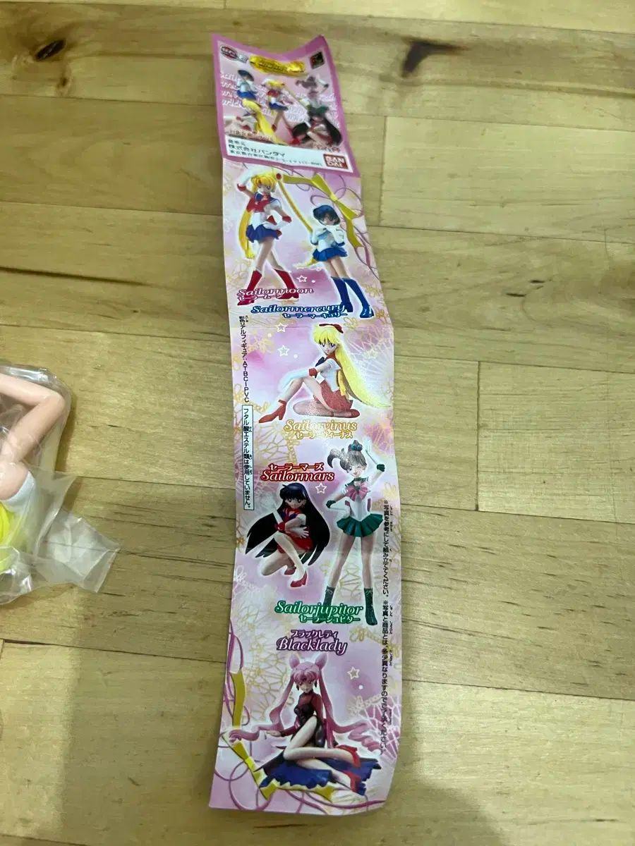 種 フルセット
